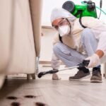 Navigating Pest Control Insurance What Every Business Owner Needs to Know