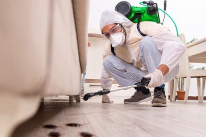 Navigating Pest Control Insurance What Every Business Owner Needs to Know