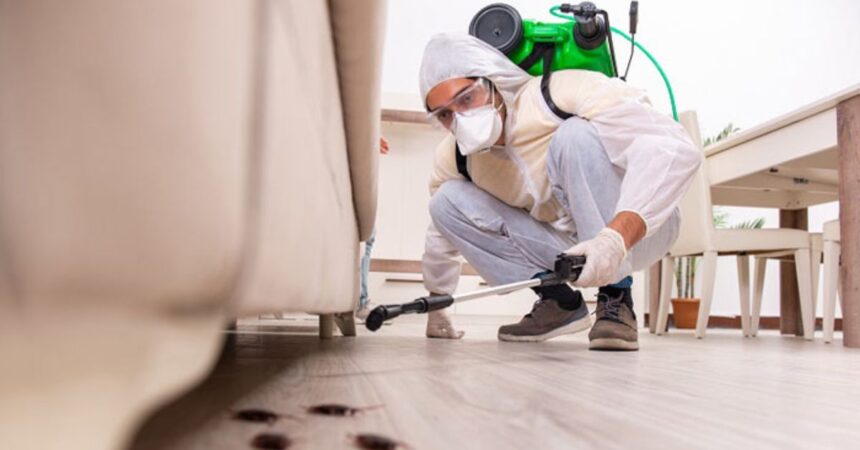 Navigating Pest Control Insurance What Every Business Owner Needs to Know